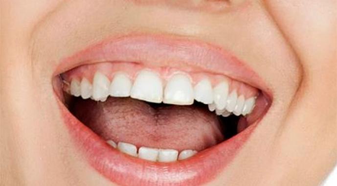 Строение челюсти и зубов у человека: клыки, моляры и резцы