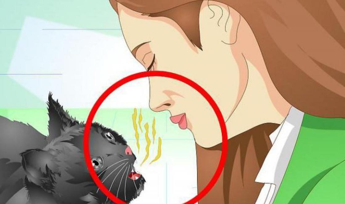 Запах рыбы изо рта. Кошка дышит. Запах кошки.